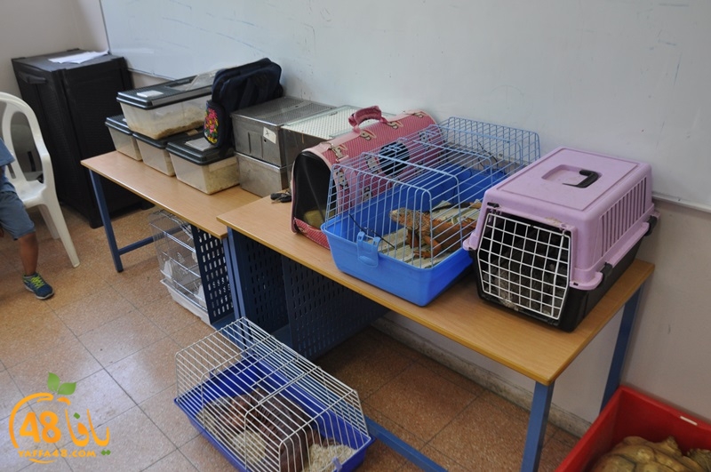 nady nhary 7san (35).JPG